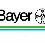 Bayer offerte di lavoro e stage